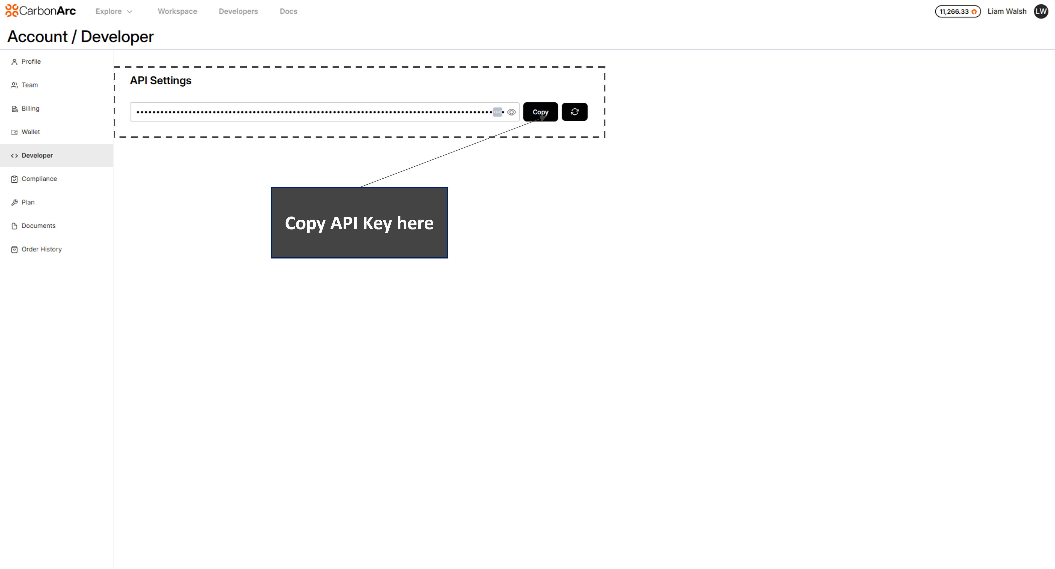 API Key